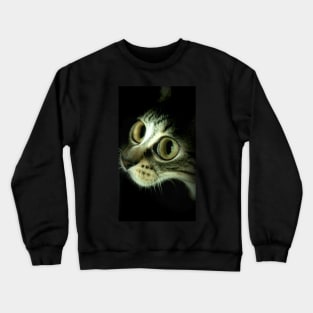 Kooky Crewneck Sweatshirt